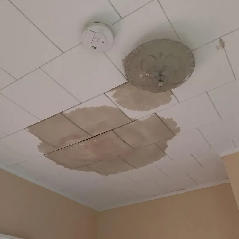 Ceiling Water Damage Repair in Clinton Township, MI