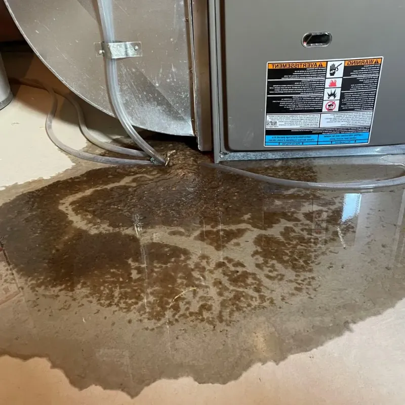 Pipe Burst and Leak Restoration in Clinton Township, MI