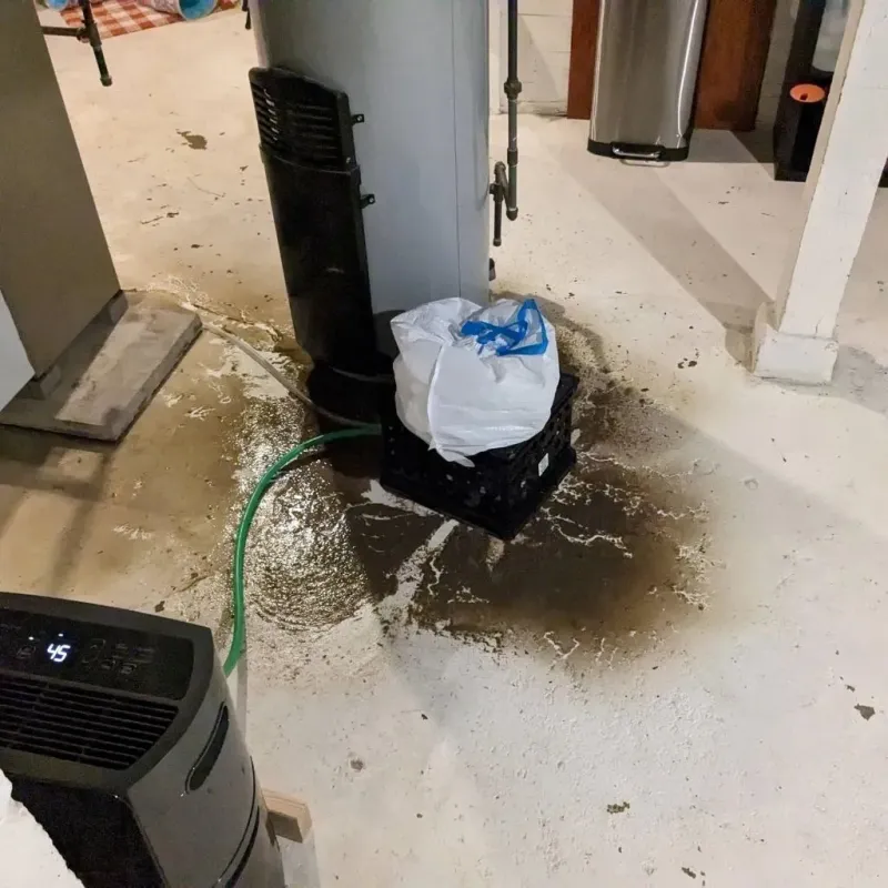 Sewage Backup Cleanup Service in Clinton Township, MI